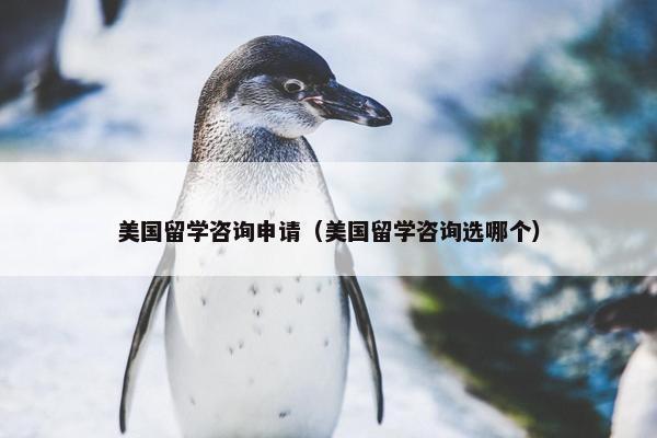 美国留学咨询申请（美国留学咨询选哪个）