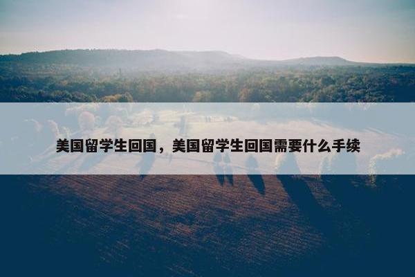 美国留学生回国，美国留学生回国需要什么手续