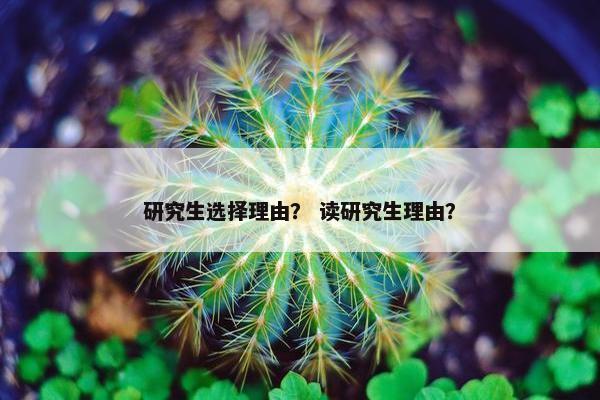 研究生选择理由？ 读研究生理由？