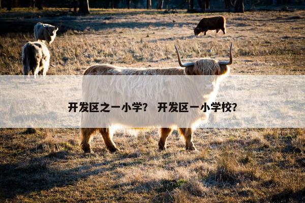 开发区之一小学？ 开发区一小学校？
