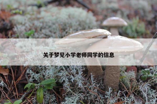 关于梦见小学老师同学的信息