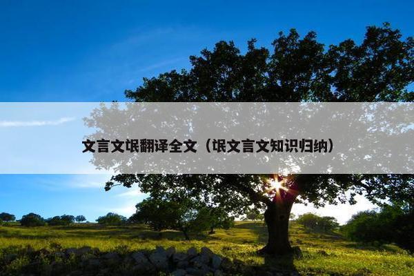 文言文氓翻译全文（氓文言文知识归纳）