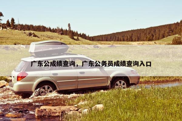 广东公成绩查询，广东公务员成绩查询入口