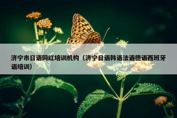 济宁市日语网红培训机构（济宁日语韩语法语德语西班牙语培训）