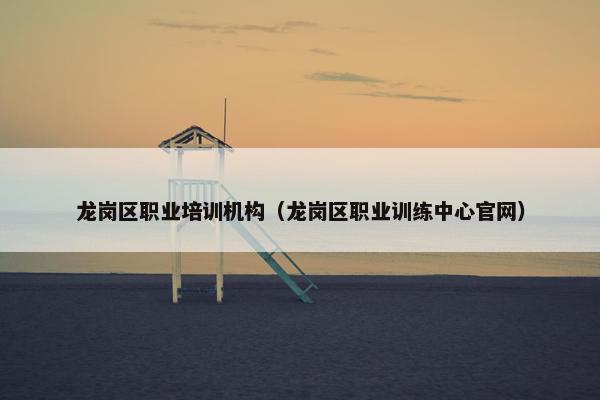 龙岗区职业培训机构（龙岗区职业训练中心官网）