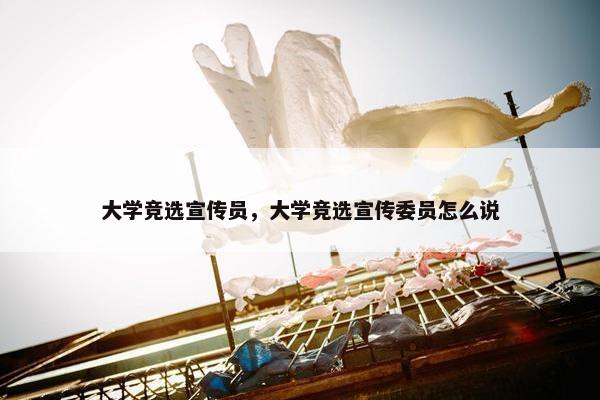 大学竞选宣传员，大学竞选宣传委员怎么说