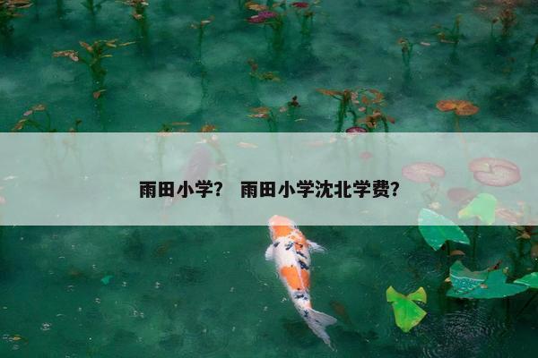雨田小学？ 雨田小学沈北学费？