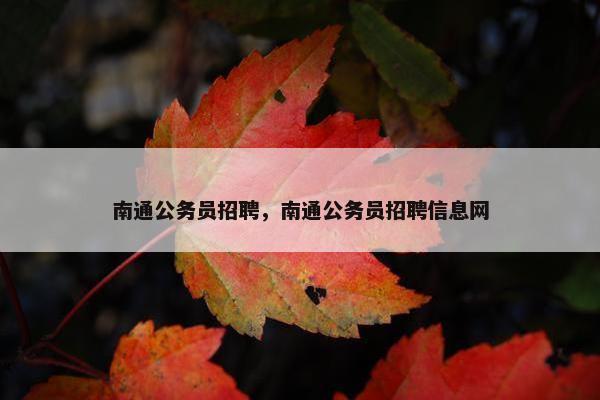 南通公务员招聘，南通公务员招聘信息网