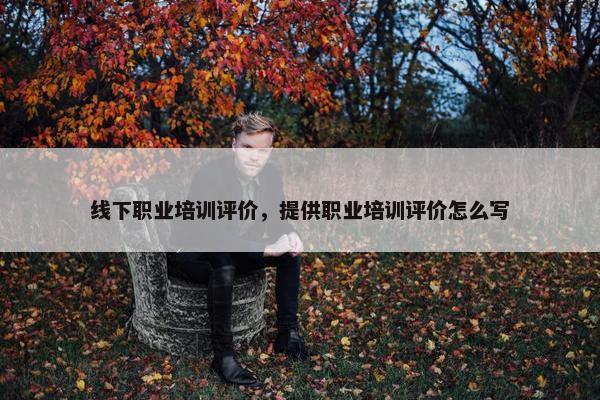 线下职业培训评价，提供职业培训评价怎么写