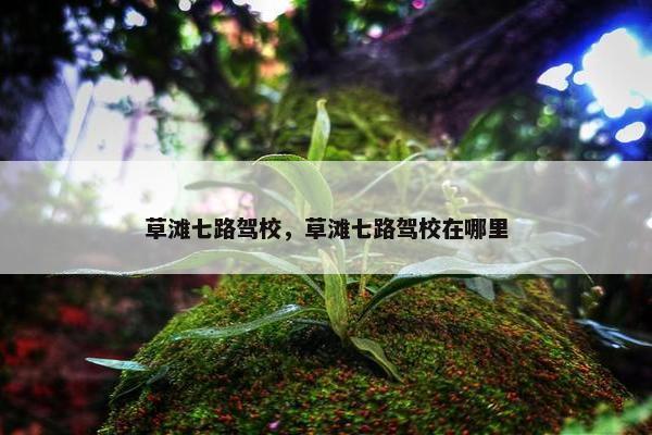 草滩七路驾校，草滩七路驾校在哪里