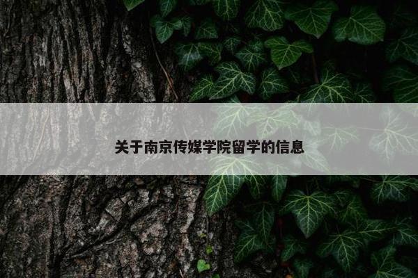 关于南京传媒学院留学的信息