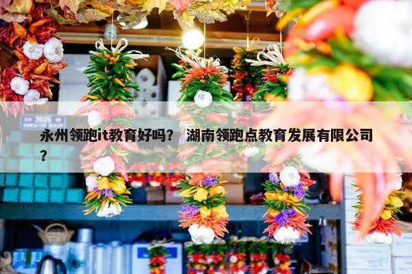 永州领跑it教育好吗？ 湖南领跑点教育发展有限公司？