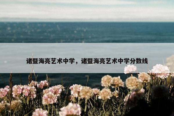 诸暨海亮艺术中学，诸暨海亮艺术中学分数线