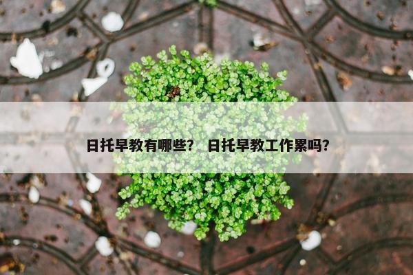 日托早教有哪些？ 日托早教工作累吗？