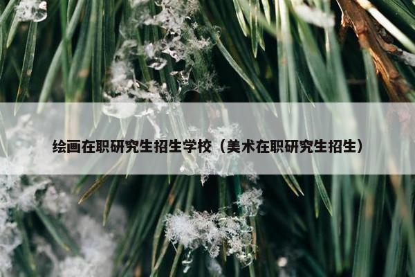 绘画在职研究生招生学校（美术在职研究生招生）