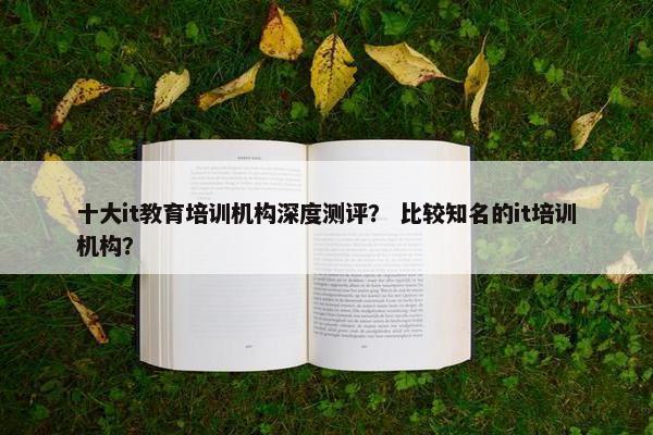 十大it教育培训机构深度测评？ 比较知名的it培训机构？
