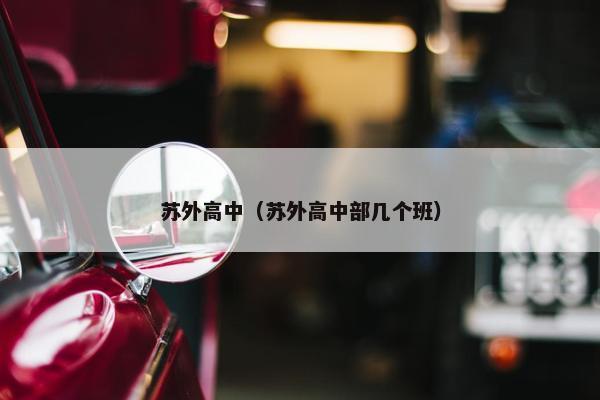 苏外高中（苏外高中部几个班）