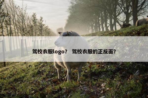驾校衣服logo？ 驾校衣服的正反面？