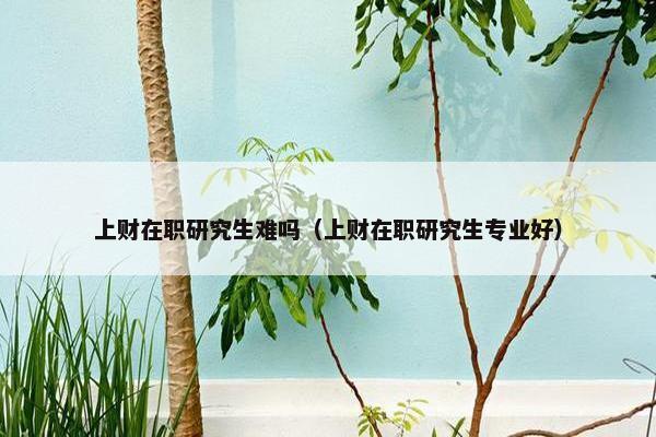 上财在职研究生难吗（上财在职研究生专业好）