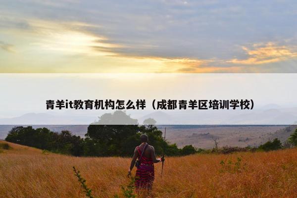 青羊it教育机构怎么样（成都青羊区培训学校）