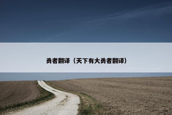 勇者翻译（天下有大勇者翻译）