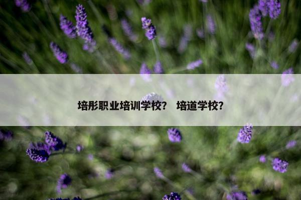 培彤职业培训学校？ 培道学校？