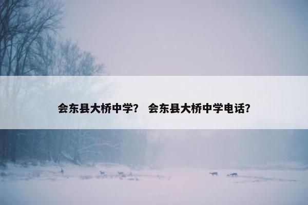 会东县大桥中学？ 会东县大桥中学电话？