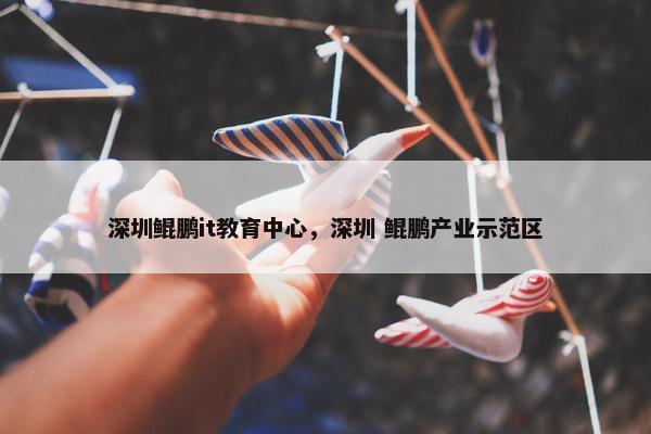 深圳鲲鹏it教育中心，深圳 鲲鹏产业示范区