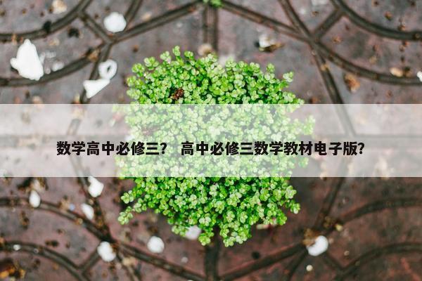 数学高中必修三？ 高中必修三数学教材电子版？