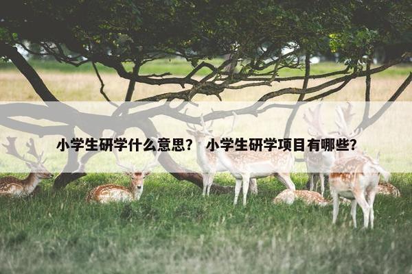 小学生研学什么意思？ 小学生研学项目有哪些？