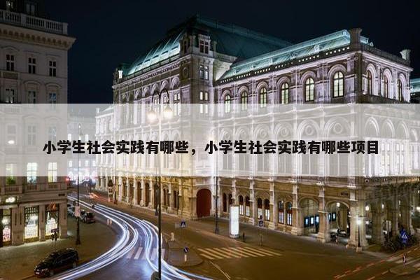 小学生社会实践有哪些，小学生社会实践有哪些项目