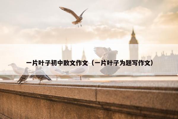 一片叶子初中散文作文（一片叶子为题写作文）