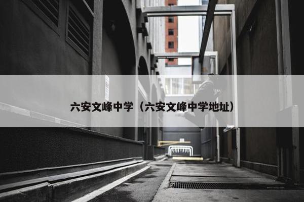 六安文峰中学（六安文峰中学地址）
