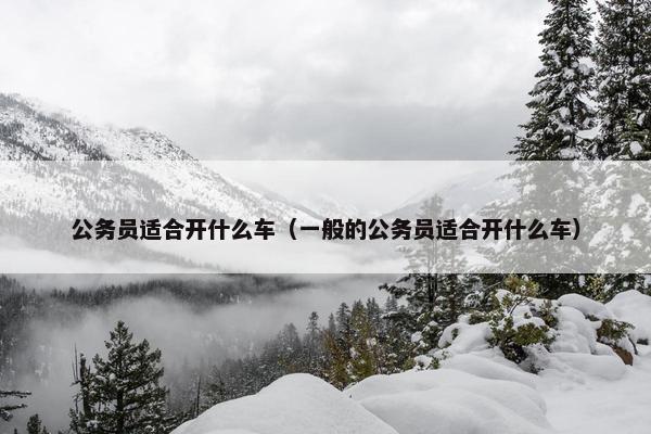 公务员适合开什么车（一般的公务员适合开什么车）