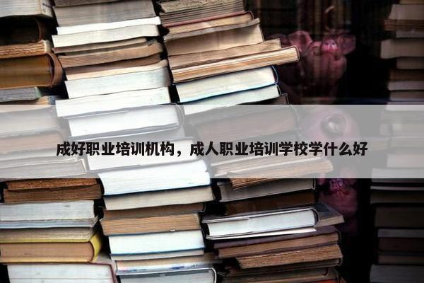 成好职业培训机构，成人职业培训学校学什么好