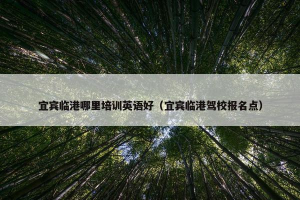 宜宾临港哪里培训英语好（宜宾临港驾校报名点）