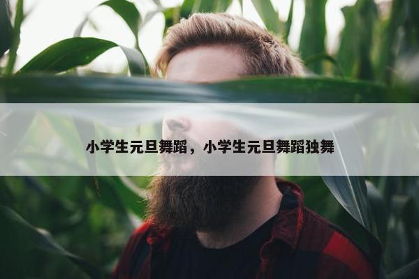 小学生元旦舞蹈，小学生元旦舞蹈独舞