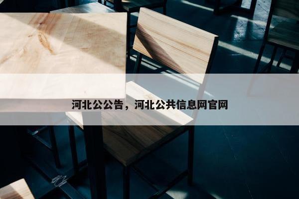 河北公公告，河北公共信息网官网