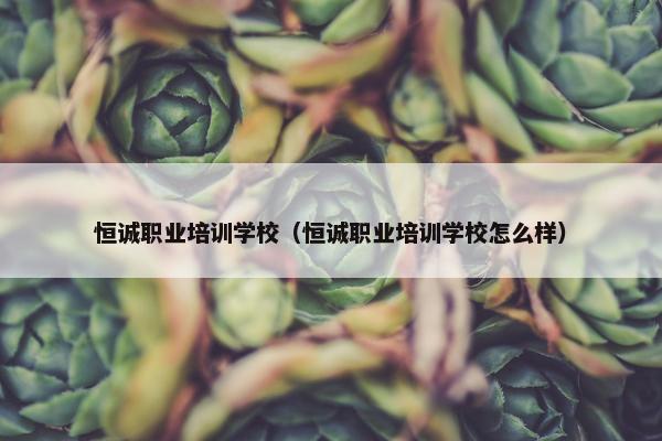 恒诚职业培训学校（恒诚职业培训学校怎么样）