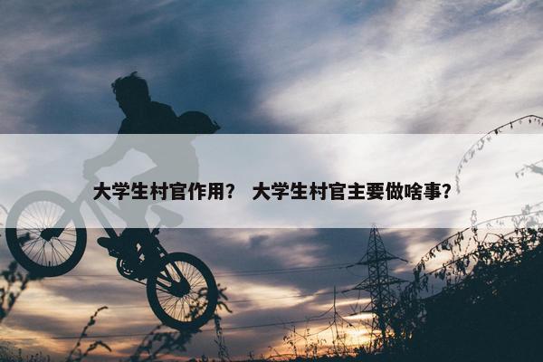 大学生村官作用？ 大学生村官主要做啥事？