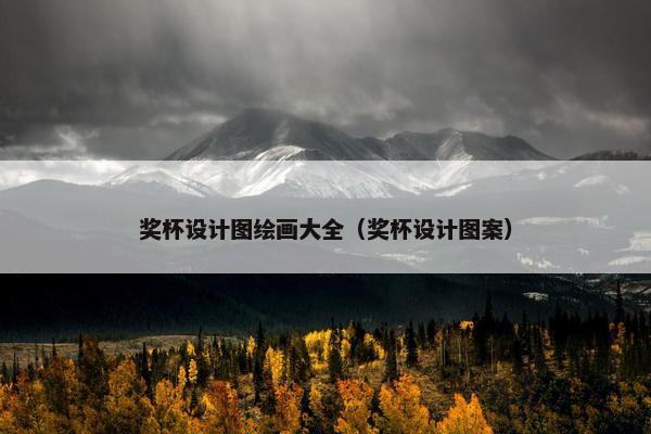 奖杯设计图绘画大全（奖杯设计图案）