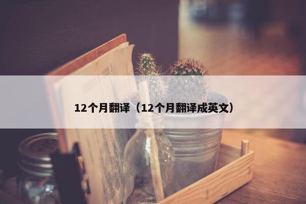 12个月翻译（12个月翻译成英文）