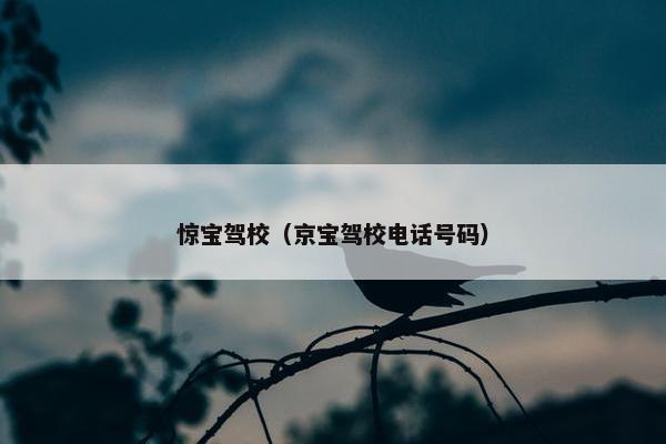 惊宝驾校（京宝驾校电话号码）