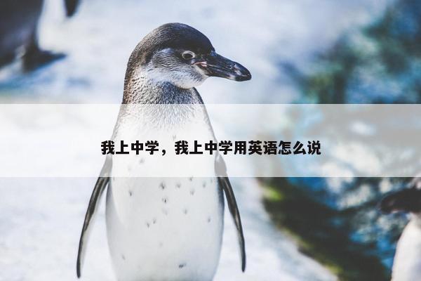 我上中学，我上中学用英语怎么说