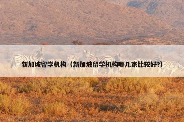 新加坡留学机构（新加坡留学机构哪几家比较好?）