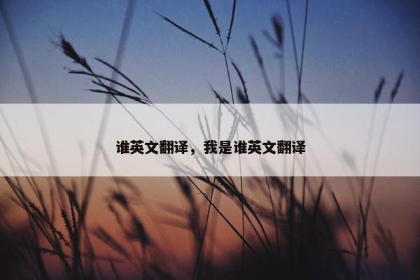 谁英文翻译，我是谁英文翻译