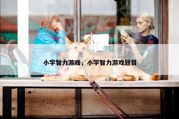 小学智力游戏，小学智力游戏题目