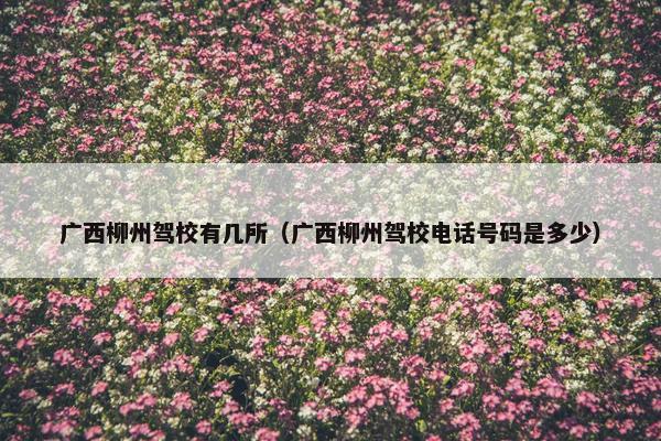 广西柳州驾校有几所（广西柳州驾校电话号码是多少）