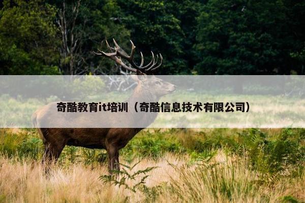 奇酷教育it培训（奇酷信息技术有限公司）