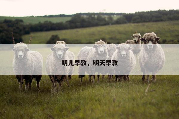 明儿早教，明天早教